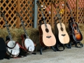 Pickin' Up Speed - 2013