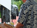 Roller Mills String Band - 2013