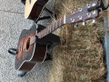 Roller Mills String Band - 2013