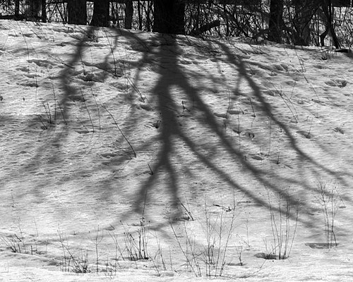 Shadows