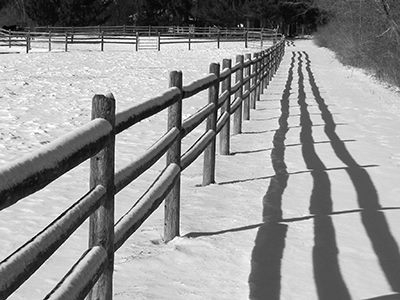 Shadows