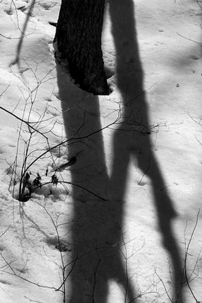 Shadows