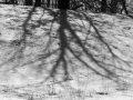 Shadows