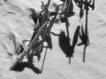Shadows