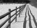 Shadows