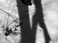 Shadows