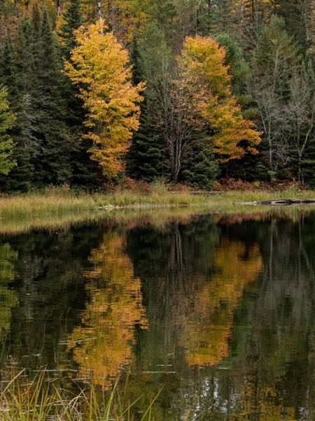 Tandlund Lake, Michigan