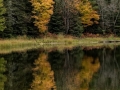 Tandlund Lake, Michigan