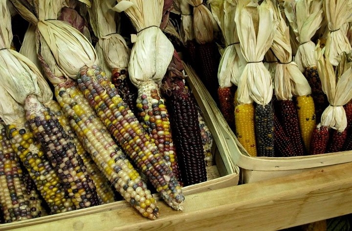 The Elegant Farmer - Mukwonago, WI