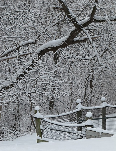 Winter in Wisconsin