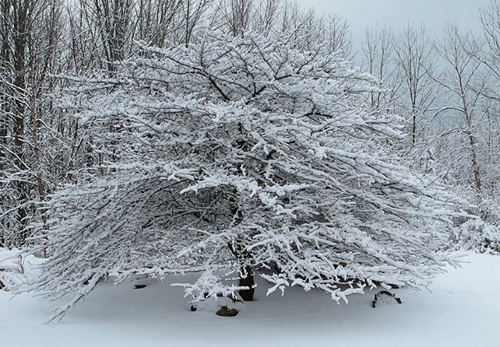 Winter in Wisconsin
