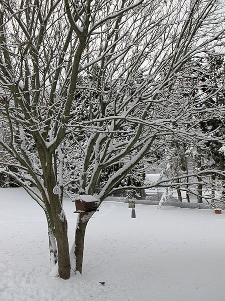 Winter in Wisconsin
