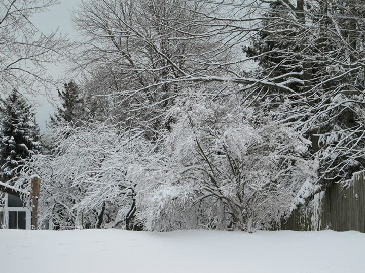 Winter in Wisconsin