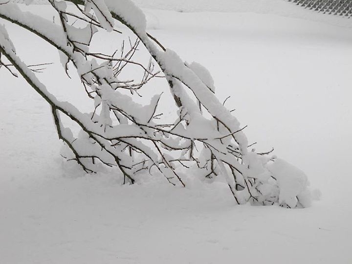 Winter in Wisconsin