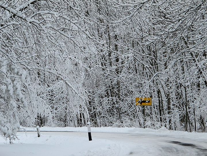 Winter in Wisconsin