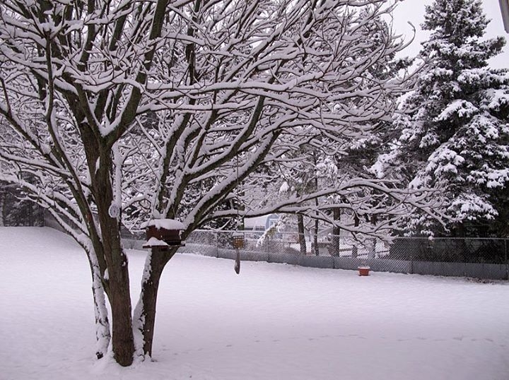 Winter in Wisconsin