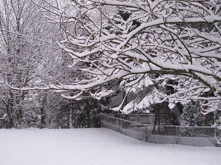 Winter in Wisconsin