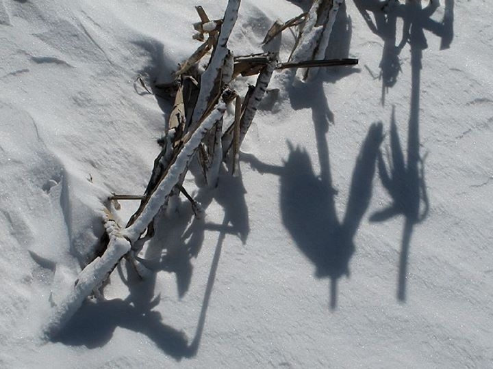 Winter in Wisconsin