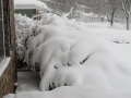 Winter in Wisconsin