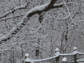 Winter in Wisconsin