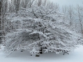 Winter in Wisconsin