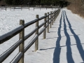 Winter in Wisconsin