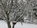 Winter in Wisconsin