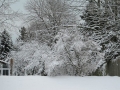 Winter in Wisconsin