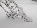 Winter in Wisconsin