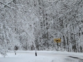 Winter in Wisconsin