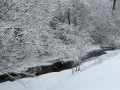 Winter in Wisconsin