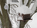 Winter in Wisconsin