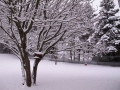Winter in Wisconsin
