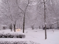 Winter in Wisconsin