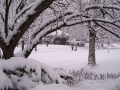 Winter in Wisconsin