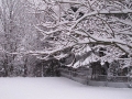 Winter in Wisconsin