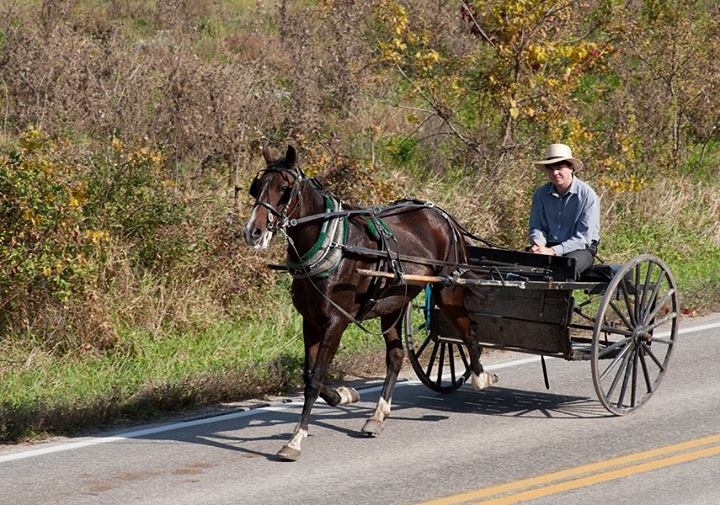 Wisconsin's Amish Country