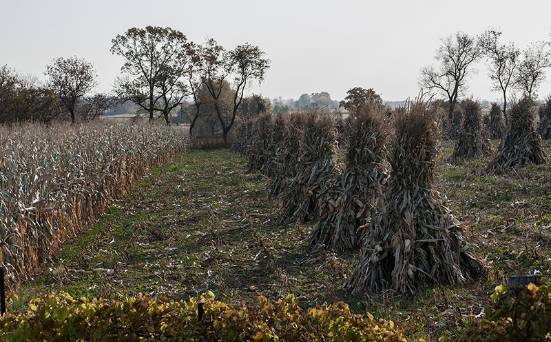 Wisconsin's Amish Country