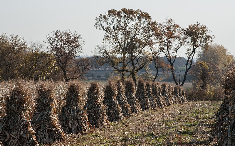 Wisconsin's Amish Country