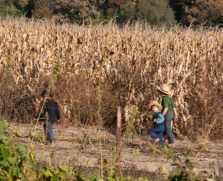 Wisconsin's Amish Country