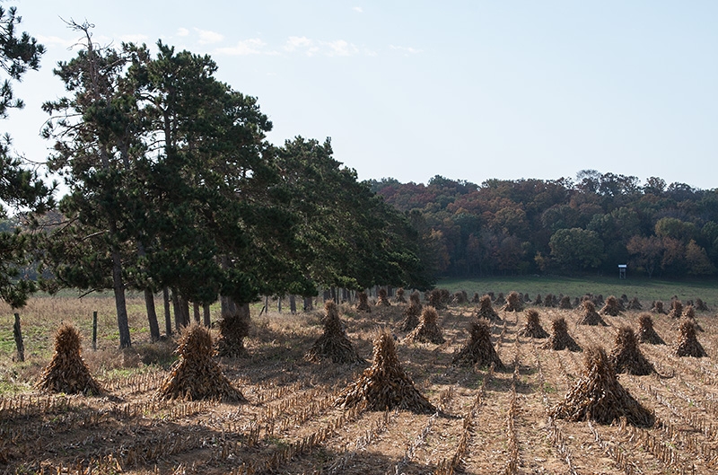 Wisconsin's Amish Country