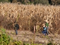 Wisconsin's Amish Country