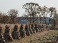 Wisconsin's Amish Country