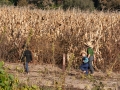 Wisconsin's Amish Country