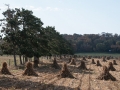 Wisconsin's Amish Country