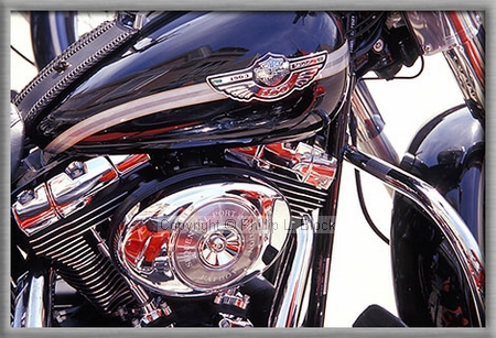 100th Anniversary Fat Boy
