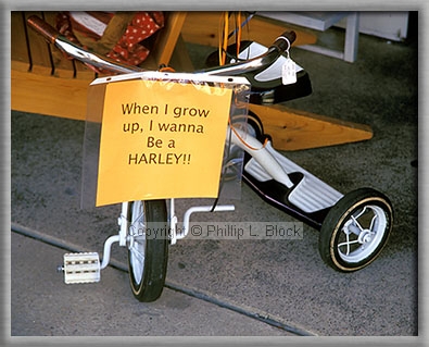 When I Grow Up I Wanna Be a Harley