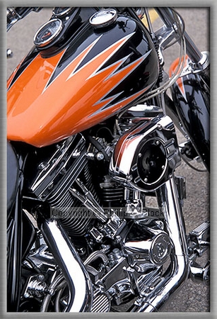 Classic Hog