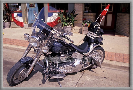 Danish Hog
