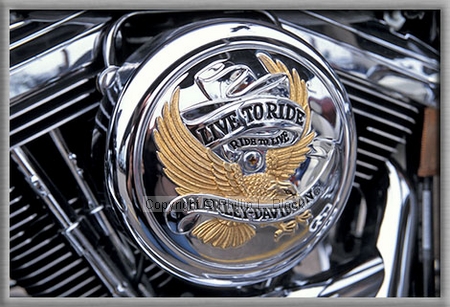 Live to Ride - Ride to Live